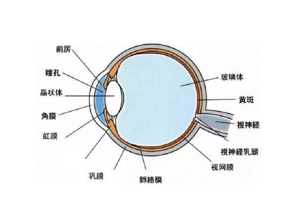 糖尿病與眼病